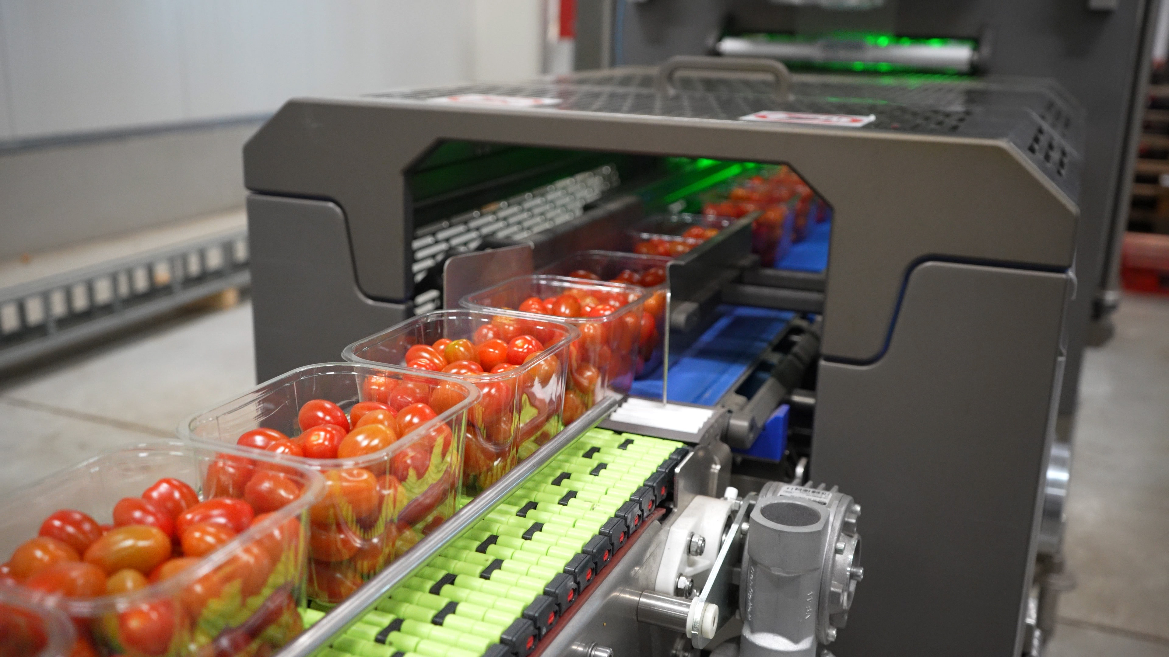 Trays of cherry tomatoes running through the Packaging Automation REV6 top sealer at Den Berk Délice
