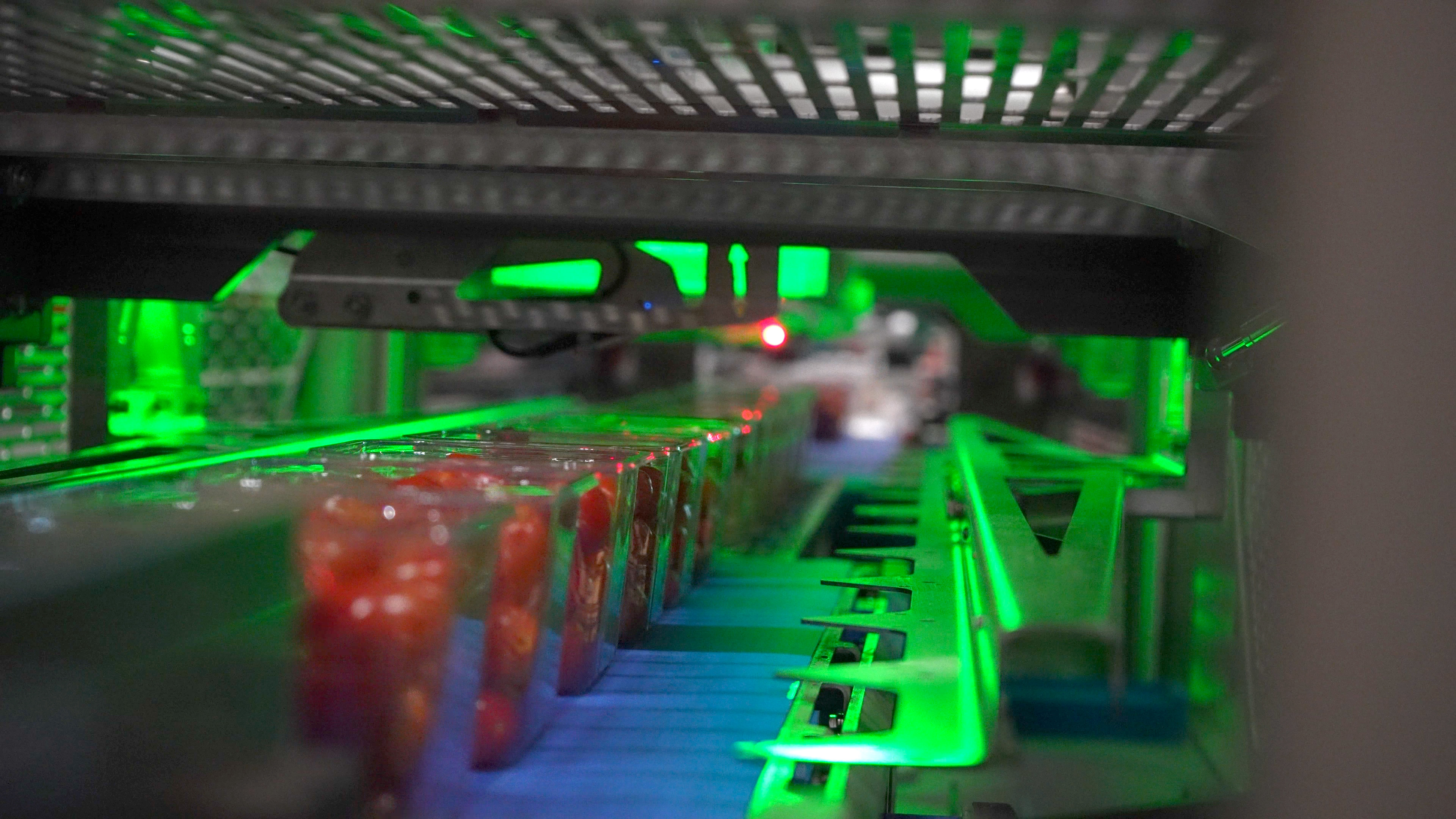 Sealed packs of cherry tomatoes leaving the REV6 top sealer at Den Berk Délice